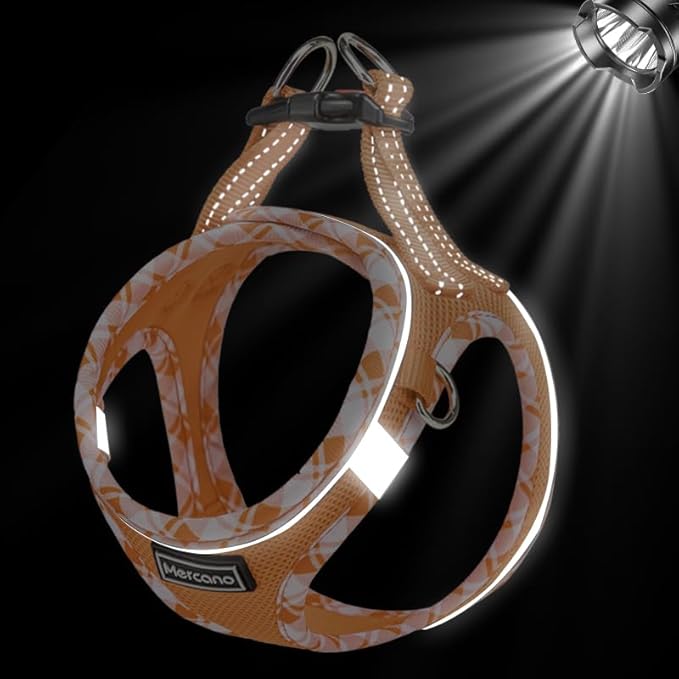 Mercano Soft Mesh Dog Harness and Leash Set, No-Chock Step-in Reflective Breathable Lightweight Easy Walk Vest Harnesses with Safety Buckle for Small Dogs, Cats (Orange, L)