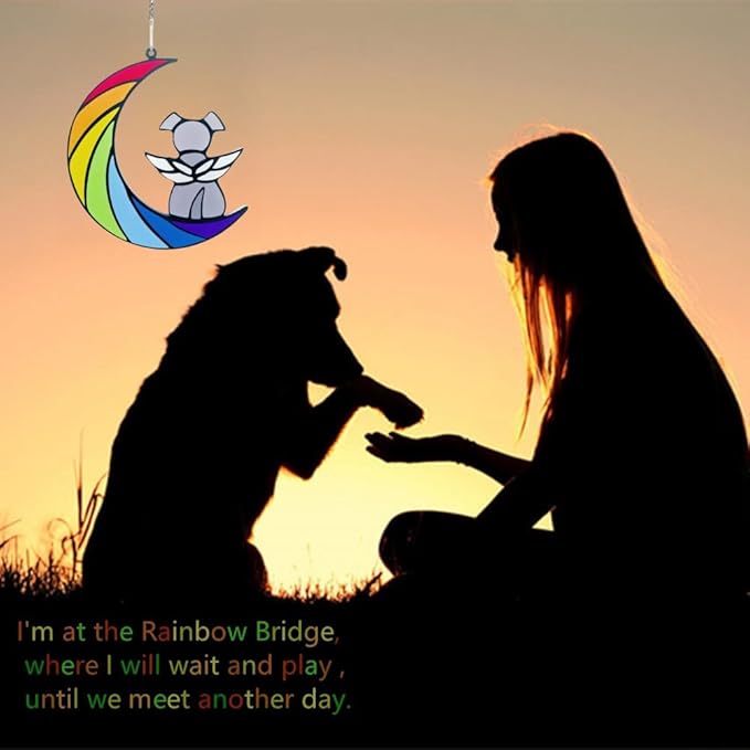 Dog Memorial Gifts, Death Sympathy Gift for Loss of Dogs, Rainbow Bridge Pet Passing Away Pet Memorial Sun Catcher Gifts
