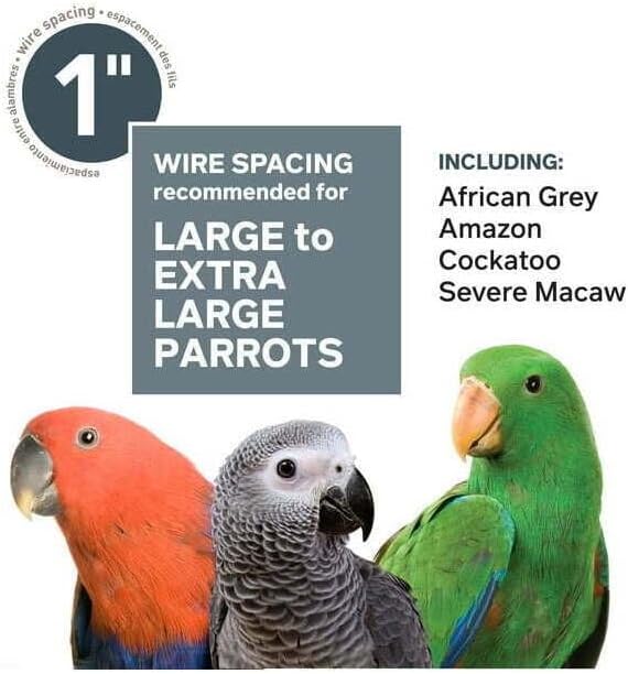 Urban Oasis Stainless Steel Bird Cage with Classic Design, Durable Stainless Steel Construction, Spacious Interior