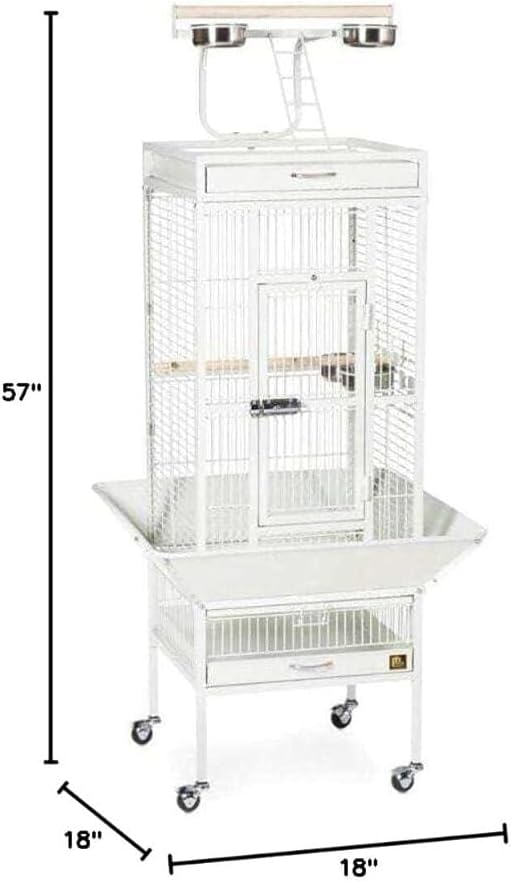 Retro Renaissance Iron Select Bird Cage with Elegant Design, Durable Construction, Easy-Clean Tray Chalk White