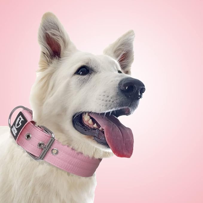 TSPRO Tactical Dog Collar 1.5 Inch Wide Thick Dog Collars with Heavy Duty Metal Buckle, Durable, Strong, Adjustable for Medium to Large Dogs (Pink L)