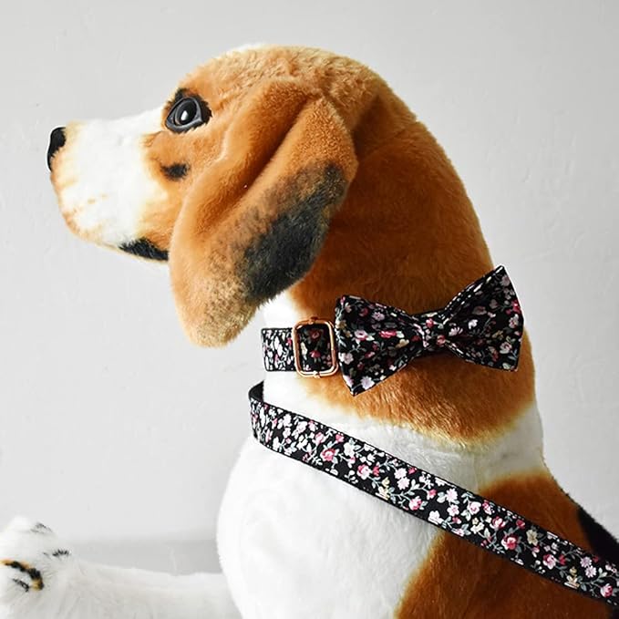 Custom Dog Collar with Names and Phone Number Engraved, Puppy Tags Personalized for Small Medium Large Pets