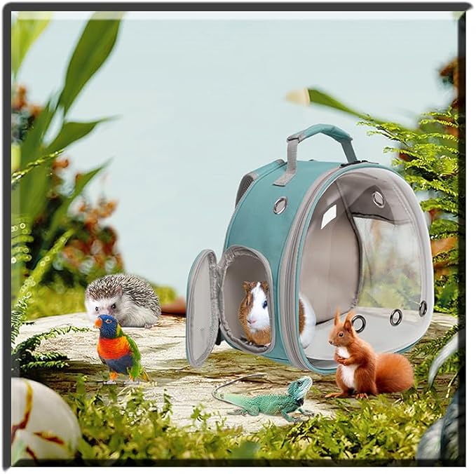 Guinea Pig Backpack Carrier, Bearded Dragon Carrier Backpack with Clear Bubble Window,Small Animal Travel Backpack for Hedgehog Rat,Chameleon,Rabbit,Sugar Glider,Airline Approved (Green, Backpack)