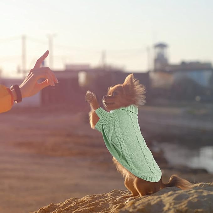 Queenmore Small Dog Pullover Sweater, Cold Weather Cable Knitwear, Classic Turtleneck Thick Warm Clothes for Chihuahua, Bulldog, Dachshund, Pug, Yorkie (Green, X-Small)