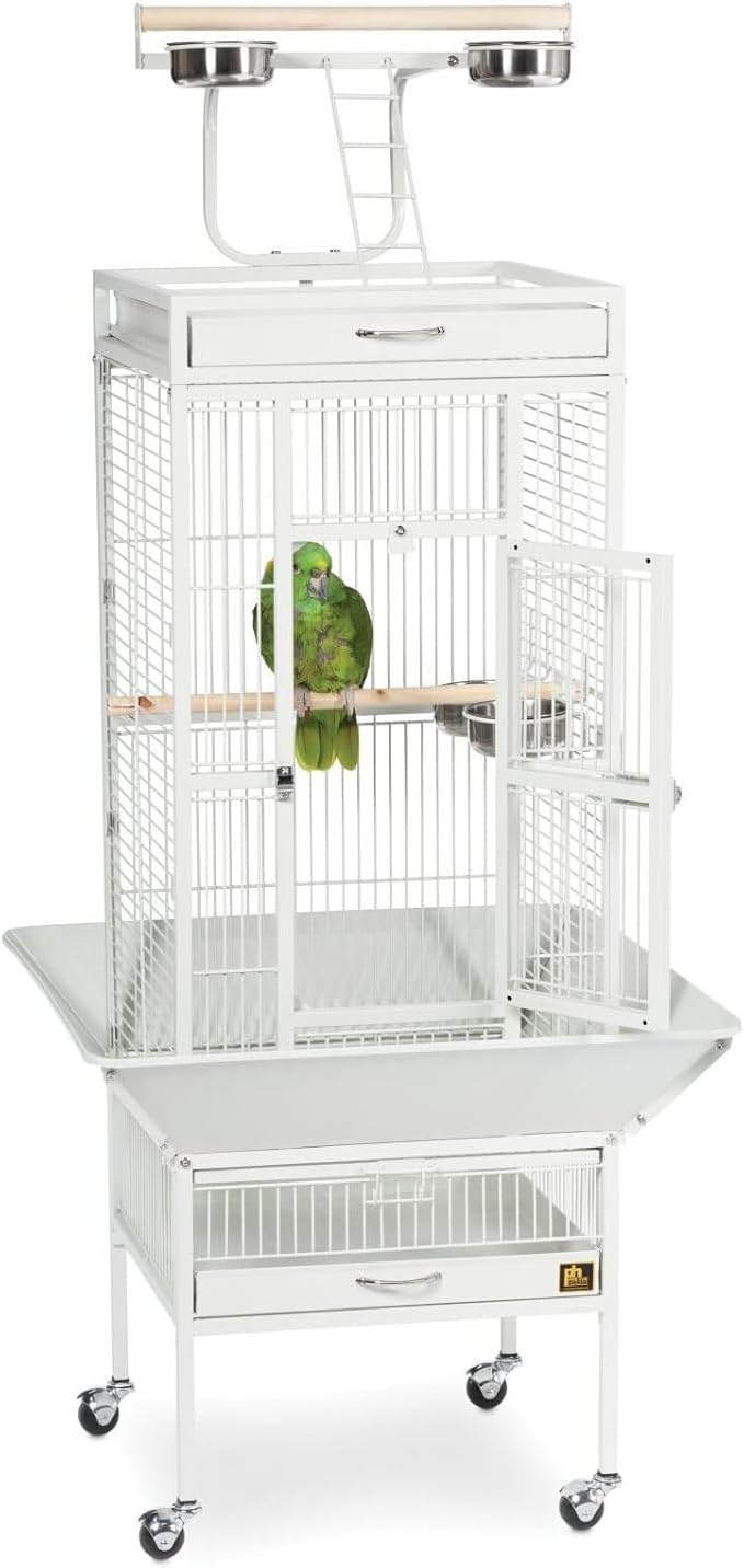 Retro Renaissance Iron Select Bird Cage with Elegant Design, Durable Construction, Easy-Clean Tray Pewter White