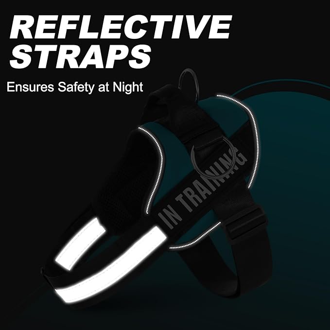 Essential Dog Harness with 3 Leash Clips - No-Pull, Adjustable, Comfortable Pet Vest Harness for Small to Large Dogs - Easy On, No Choke, Reflective, Padded Harness for Walking and Training