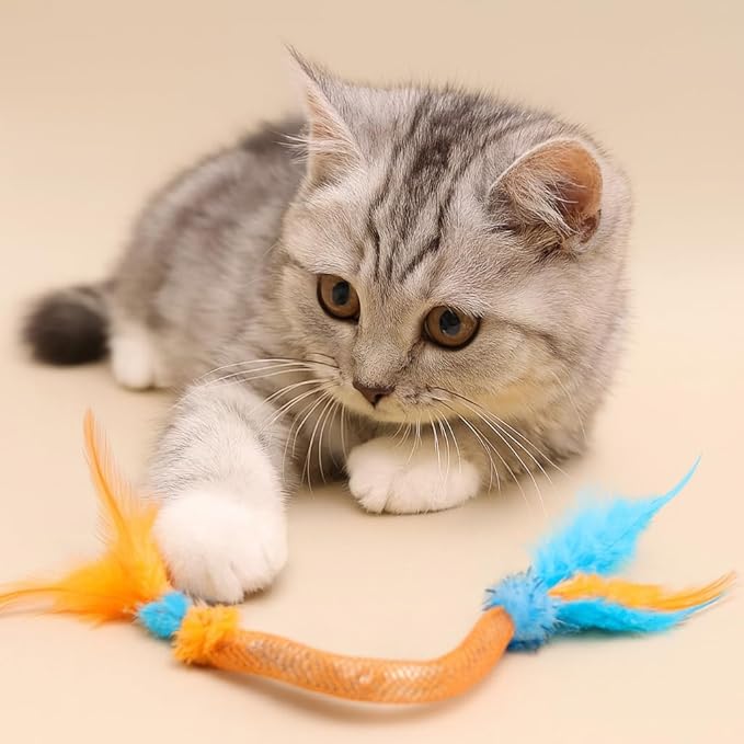 Cat Toys for Indoor Cats β 2 Pack Feather Toys with Pom-Pom & Bells, 19.5 Inch Teething Cat Toys Bundle for Chew, Cat Spiral Spring, Kitten Teething Toys