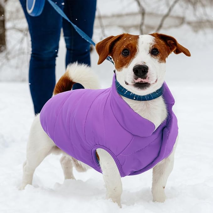 ASENKU Dog Winter Coat - Waterproof Windproof Dog Jacket, Warm Snowproof Doggie Puffer Vest for Cold Weather, Lightweight Snow Coats for Small Medium Large Dogs (Purple, 3XL)