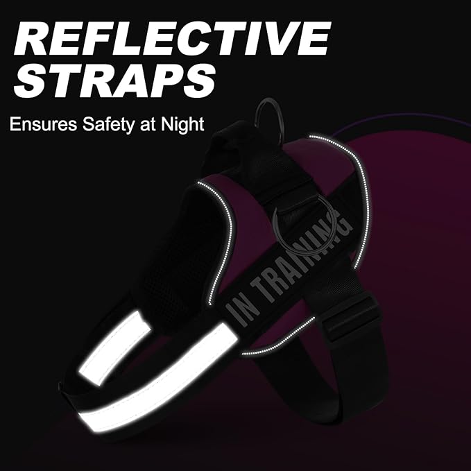 Essential Dog Harness with 3 Leash Clips - No-Pull, Adjustable, Comfortable Pet Vest Harness for Small to Large Dogs - Easy On, No Choke, Reflective, Padded Harness for Walking and Training