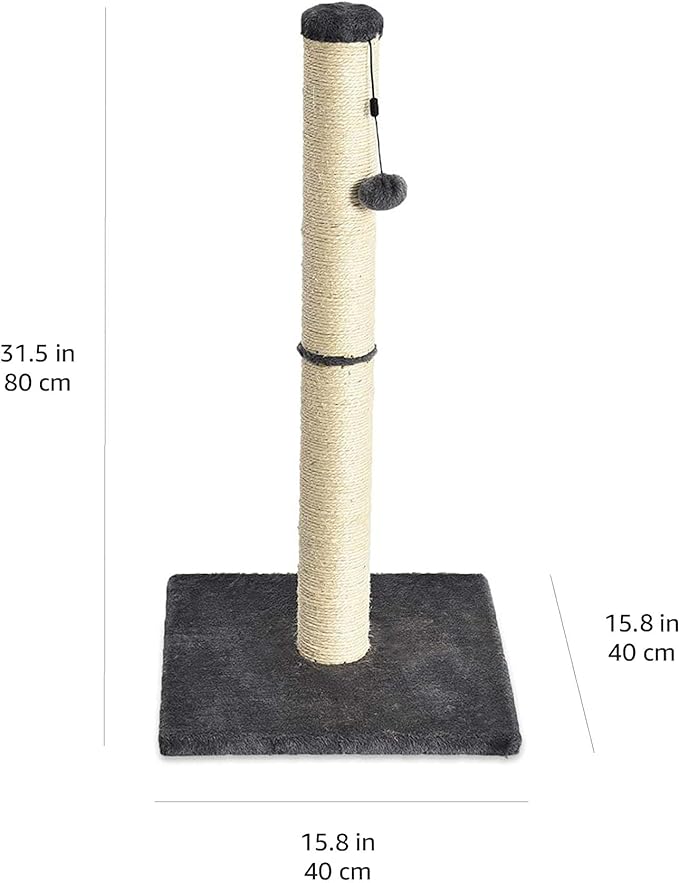Amazon Basics Cat Scratcher - Indoor Classic Single Cat & Kittens Scratching Post, Medium (31.5"H) - Grey