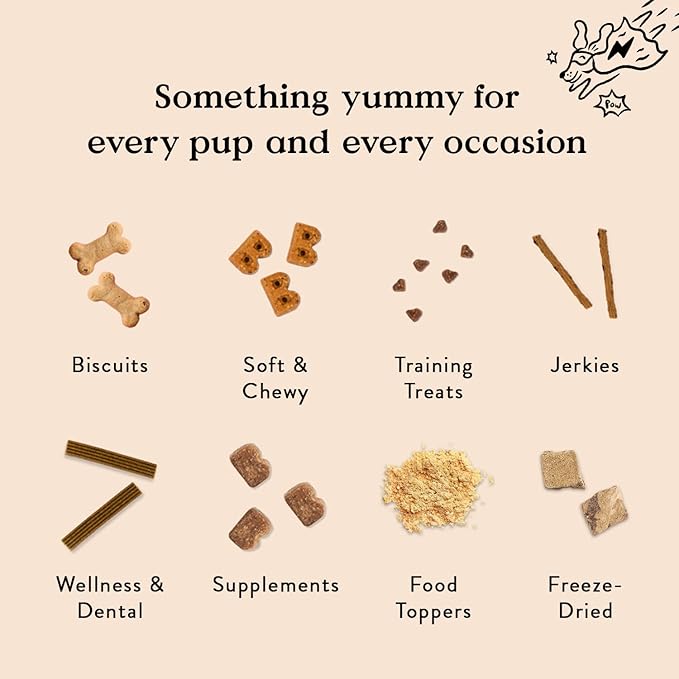 Bocce's Bakery Dailies Good Hair Dog Treats for Skin & Coat Support, Wheat-Free Dog Treats, Made with Real Ingredients, Baked in The USA, All-Natural Soft & Chewy, Salmon Recipe, 6 oz