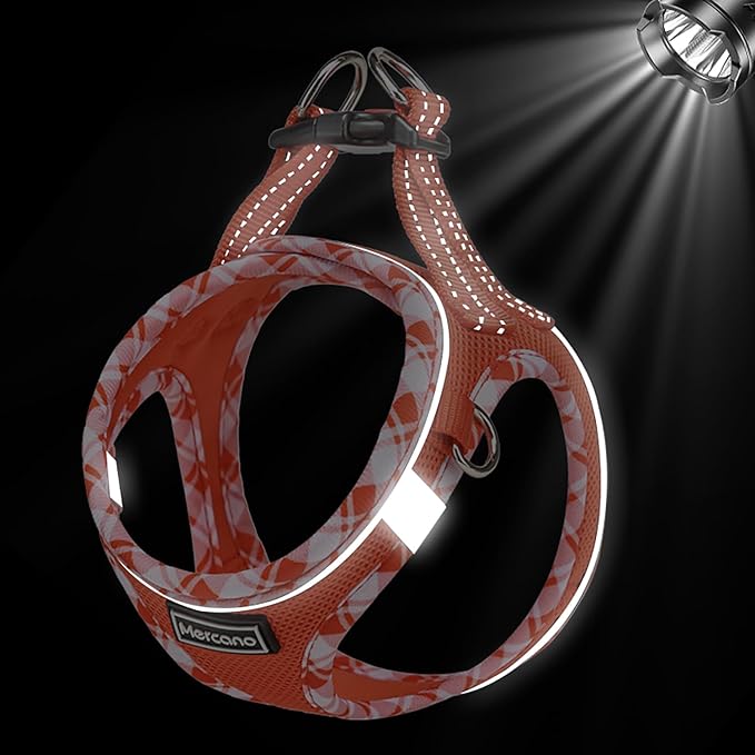 Mercano Soft Mesh Dog Harness and Leash Set, No-Chock Step-in Reflective Breathable Lightweight Easy Walk Vest Harnesses with Safety Buckle for Small Dogs, Cats (Tangerine, S)