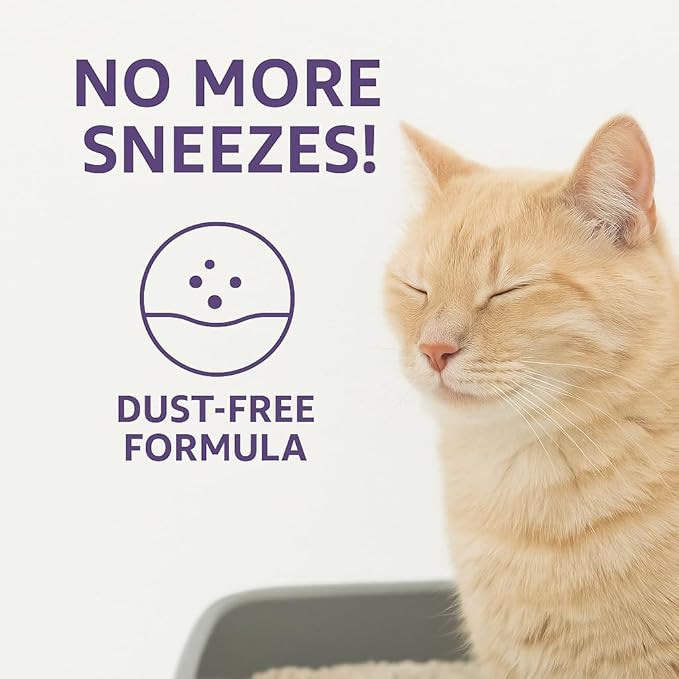 Lavender Scented Cat Litter – 17.2 lb / 9L, Fast Clumping, Natural Odor Absorption, Lightweight Formula, Made with Turkish White Bentonite