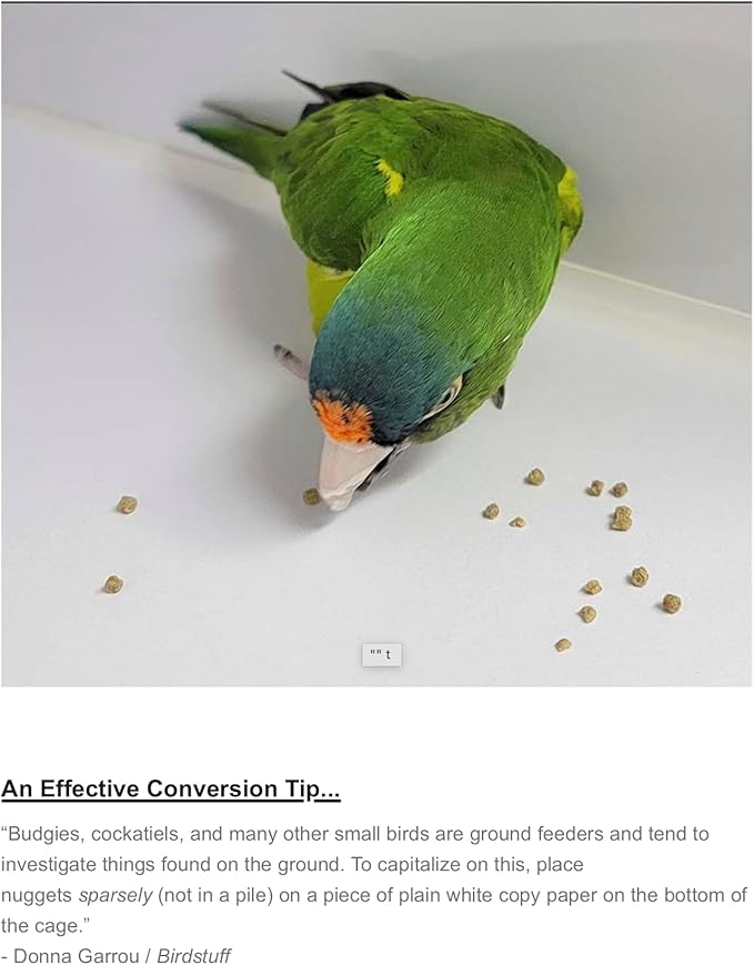 Harrison's Bird Foods High Potency Fine Certified Organic Non GMO Formula Bird Food 1lb