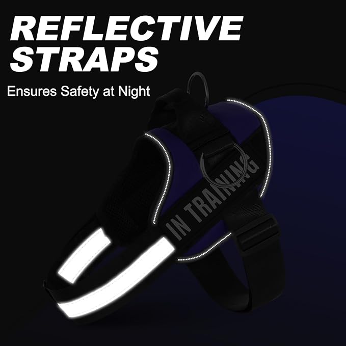 Essential Dog Harness with 3 Leash Clips - No-Pull, Adjustable, Comfortable Pet Vest Harness for Small to Large Dogs - Easy On, No Choke, Reflective, Padded Harness for Walking and Training