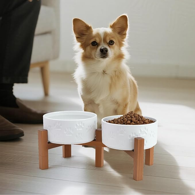 SPUNKYJUNKY Ceramic Elevated Dog Bowl Set with Acacia Wood Stand for Food and Water for Small Medium Sized Dogs (28.74 OZ, White, Dog Paw Pattern)
