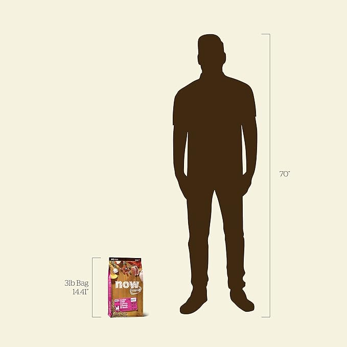 Now Fresh Grain-Free Dry Cat Food with Turkey, Salmon & Duck, Healthy Kibble for Adults Made with Real Meat & Fish, Chicken-Free, with Pumpkin & Probiotics for Sensitive Stomachs, 3 lb Bag