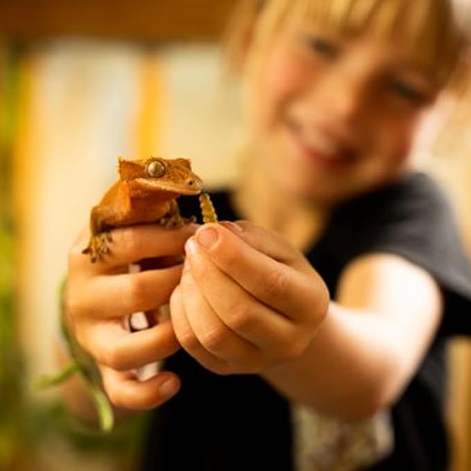 Dried Black Soldier Fly Larvae for Chicken - Treats for Hens, Duck, Wild Birds, Lizard, Tortoise, Fish - All Natural High Protein Dried Mealworms Alternative - Made in North America