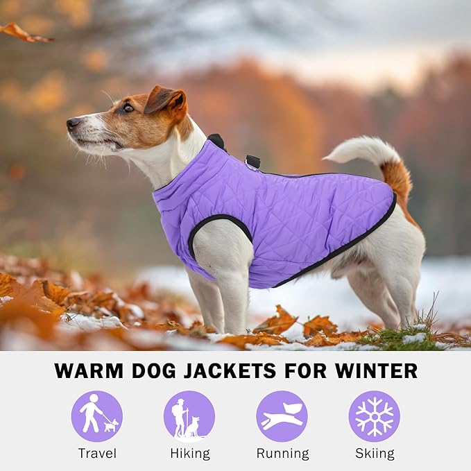 SCENEREAL Winter Coat for Dogs - Warm Jacket with Built-in Harness, Waterproof, Fleece Puffer Vest, Windproof, Snow Clothes for Small to Medium Dogs