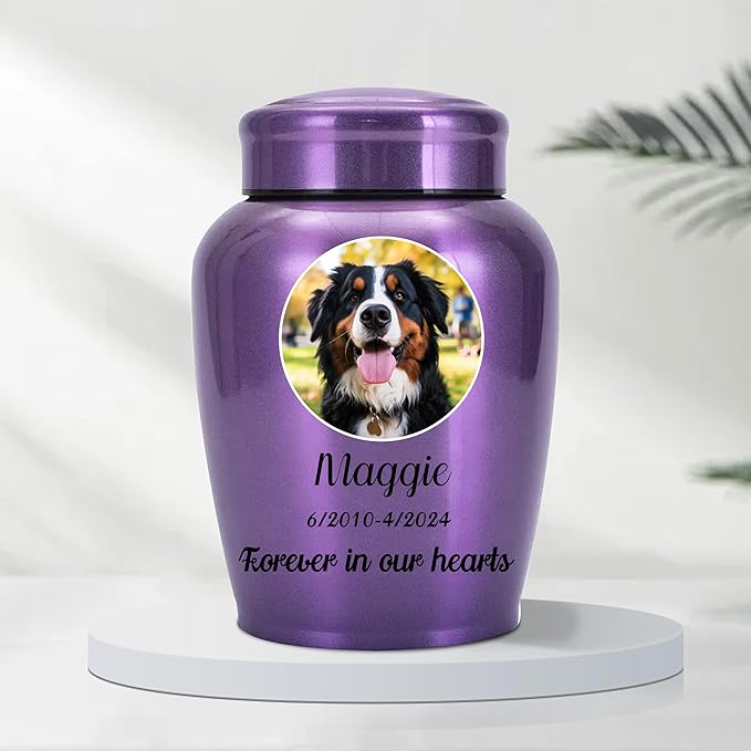 Personalized Cremation Urns for Pet Ashes, Custom Pet Name and Photo for Memorials Urns, 8.6 Inches Large Pet Urns for Dogs and Cats Ashes (Round)