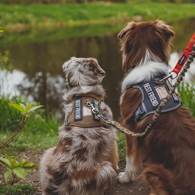 Auroth Tactical Dog Harness for Small Medium Dogs No Pull Adjustable Pet Harness Reflective K9 Working Training Easy Control Pet Vest Military Service Dog Harnesses Grey M