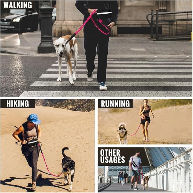 Plutus Pet Hands Free Dual Handle Retractable Bungee Leash with Reflective Stitches, Adjustable Waist Leash for Dog Walking, Running, Jogging, Medium Large Dogs