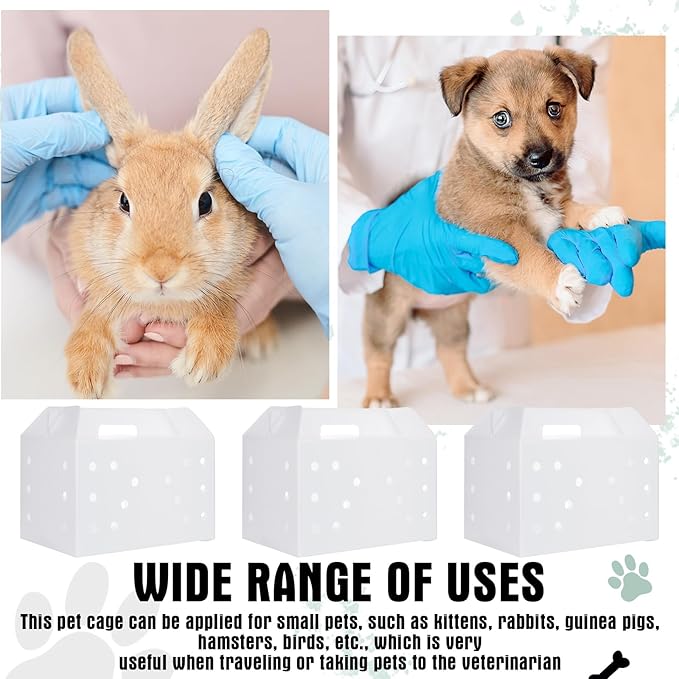 10 Pcs Plastic Pet Carriers 15.7 x 10.2 x 9.8 Inch for Small Animals Cat Hamster Guinea Pig Rabbit Bird Travel Box