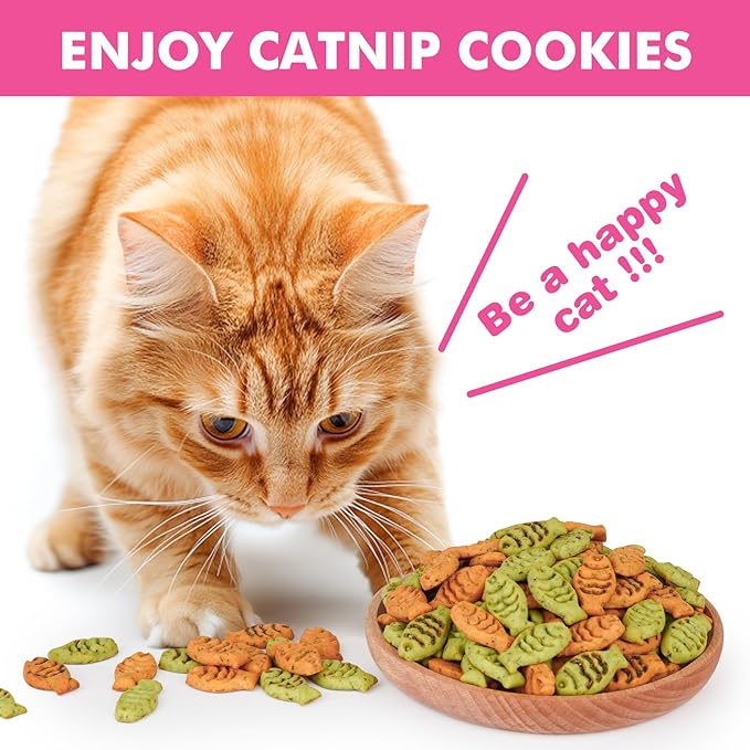 Catnip Cat Treats, Chicken and Salmon Flavor Cat Snacks, Training Biscuits Treats for Cats, Crunchy Fish Shape Adult Cat Biscuits, 8 oz