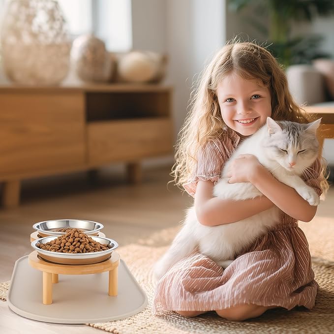 Stainless Steel Raised Cat Food Bowl for 2 Bowls, 6.3-Inch Replaceable Cat Bowl, Pack of 2