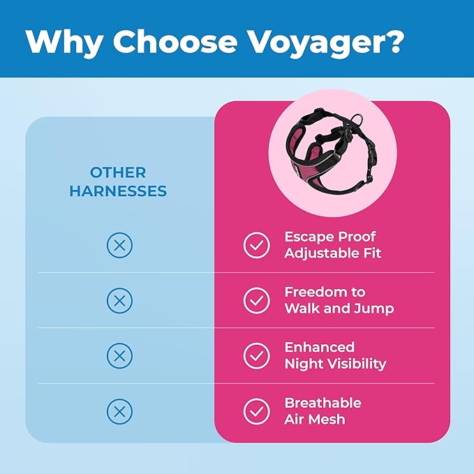 Voyager Escape Proof Cat Harness and Leash Set with Reflective Stitching, Neoprene Handle 5ft - Supports Small, Medium and Large Cats, Kittens for Walking by Best Pet Supplies - BT-Fuchsia, XXXS