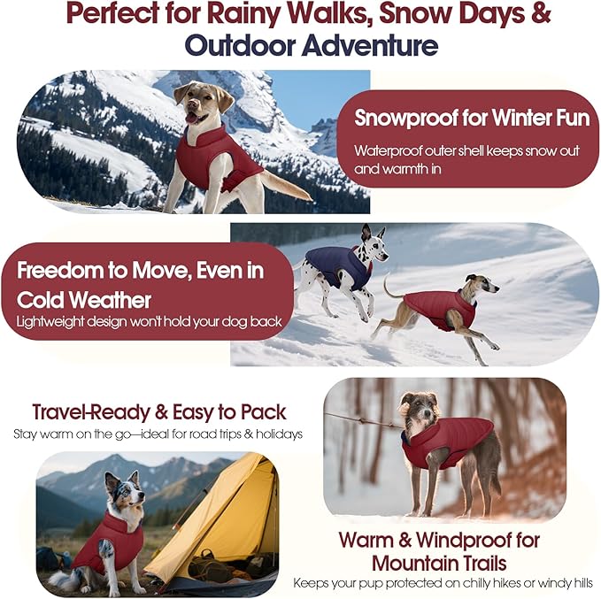 QBLEEV Reversible Dog Coat, Warm Dog Winter Coat for Medium Dogs, Lightweight Windproof Padded Vest for Dogs, Waterproof Adjustable Puffer Cold Weather Jacket for French Bulldog Beagle, Wine Red, M