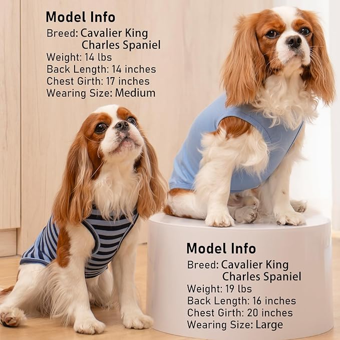 KYEESE 2Pack Dog Shirts Striped T Shirt Soft Tee for Small Dogs Cotton Tank Top Lightweight Sleeveless Vest Dog Clothes, Small,Dark Blue+Striped