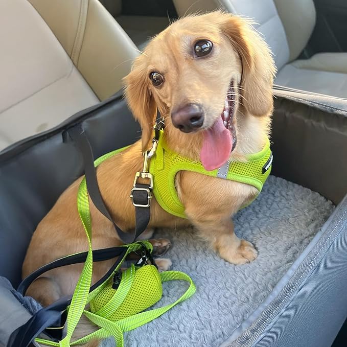 Voyager Step-in Air All Weather Mesh Harness and Reflective Dog 5 ft Leash Combo with Neoprene Handle, for Small, Medium and Large Breed Puppies by Best Pet Supplies - Set (Lime Green), XL