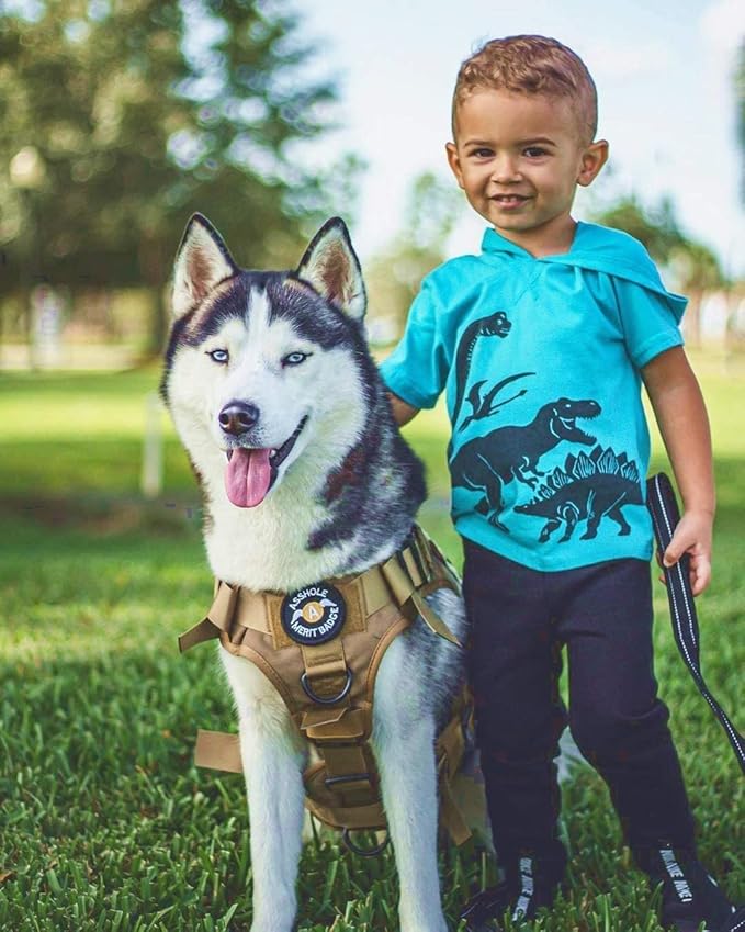 rabbitgoo Tactical Dog Harness for Large, Heavy Duty Pet Harness with Handle, No-Pull Service Vest Large Breed, Adjustable Military Dog Vest for Training Hunting Walking, Brown, L