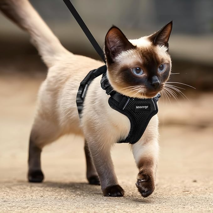 Cat Harness and Leash Set, Cat Car Harness, Soft and Breathable Vest with Reflective Strip, Anti Escape Adjustable Cat Harness, Easy to Wear for Cats Walking and Traveling, Black, M