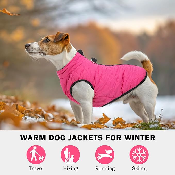 SCENEREAL Dog Winter Coat - Warm Puppy Jacket with Built-in Harness, Waterproof, Fleece Puffer Vest, Windproof Snow Clothes for Small to Medium Dogs