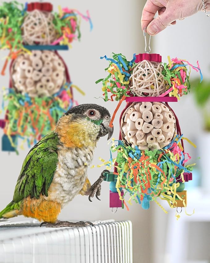 Bissap 2PCS Bird Parrot Foraging Shredder Hanging Toys Sola Balls Sepak Takraw with Pacifier for Small Parrots Parakeets Conures Cockatiels Love Birds Cage Toy