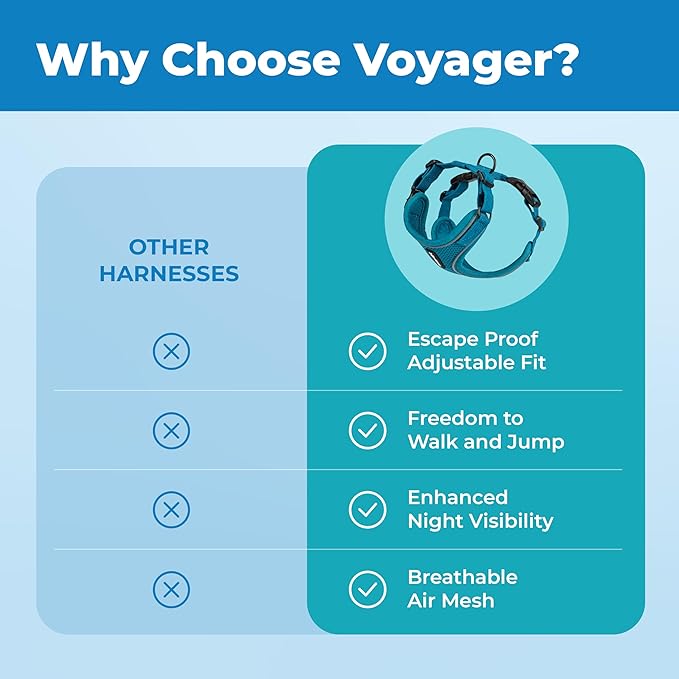 Voyager Escape Proof Cat Harness and Leash Set with Reflective Stitching, Neoprene Handle 5ft - Supports Small, Medium and Large Cats, Kittens for Walking by Best Pet Supplies - Turquoise, XXXS