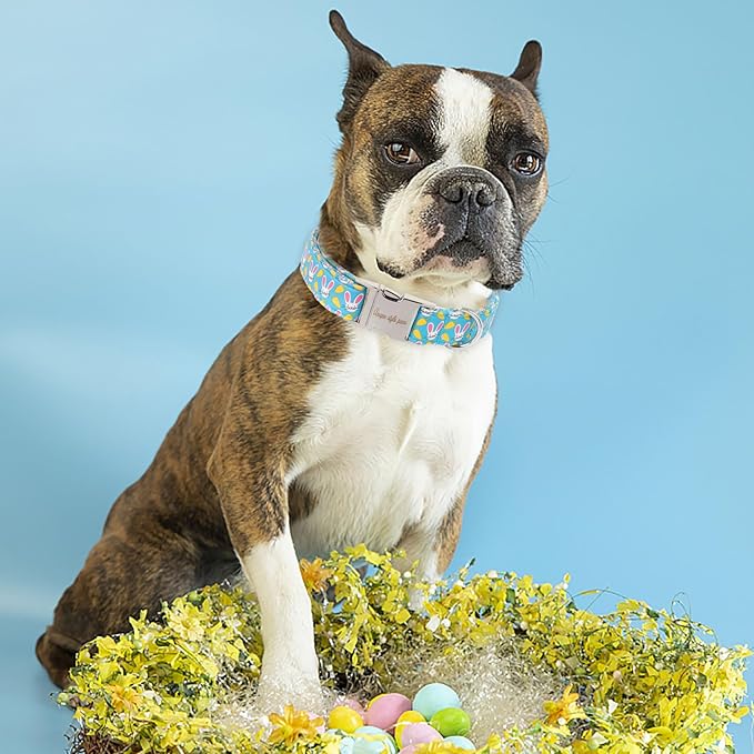 Unique style paws Dog Collar Metal Buckle Collar for Easter Gift Pink Ear Rabbit Carrot Durable Cotton Collar for Small Medium Large Boys Girls Dogs