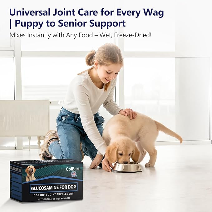 Glucosamine for Dogs - Dog Joint Supplement Powder, MSM & Turmeric - Joint Pain Relief, Mobility Support for All Ages & Breeds - 60 Ct. Box
