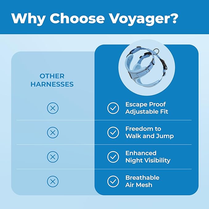 Voyager Escape Proof Cat Harness and Leash Set with Reflective Stitching, Neoprene Handle 5ft - Supports Small, Medium and Large Cats, Kittens for Walking by Best Pet Supplies - Baby Blue, XXXS