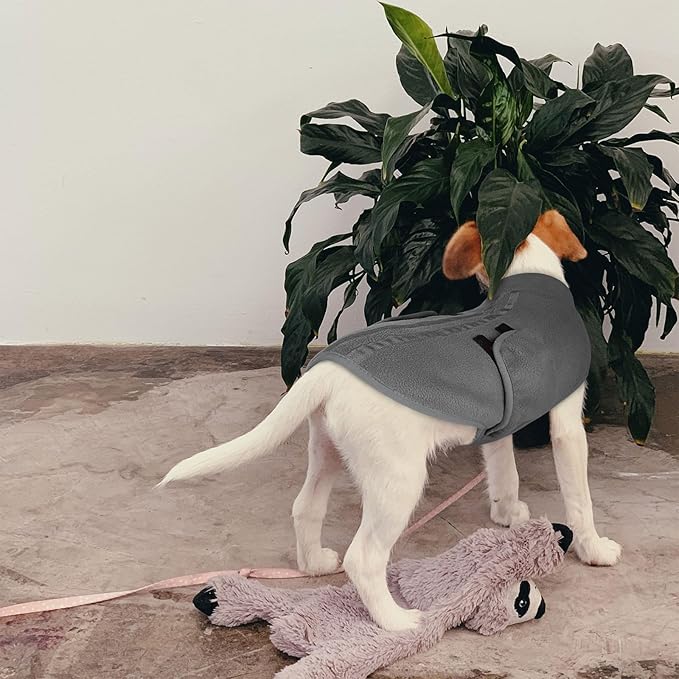 Queenmore XXS Dog Sweaters, Soft Fleece Vest Pullover Dog Jacket with Leash Hole, Warm Winter Dogs Clothes Cold Weather Doggy Dachshund Sweater for Small Dogs Cats Boy or Girl (Grey, XXS)