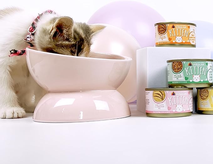 Weruva Kitten, Chicken & Tuna Formula in Gravy, 3oz Can (Pack of 12)