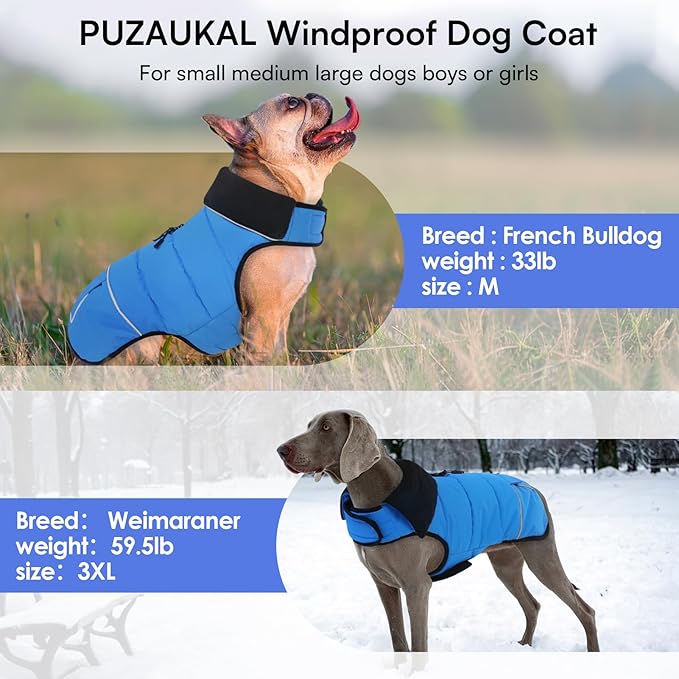 Dog Coat, Small Dog Jacket, Windproof Dogs Puffer Jacket, Fleece Lined Warm Dogs Winter Coat with Harness Hole (Blue M)
