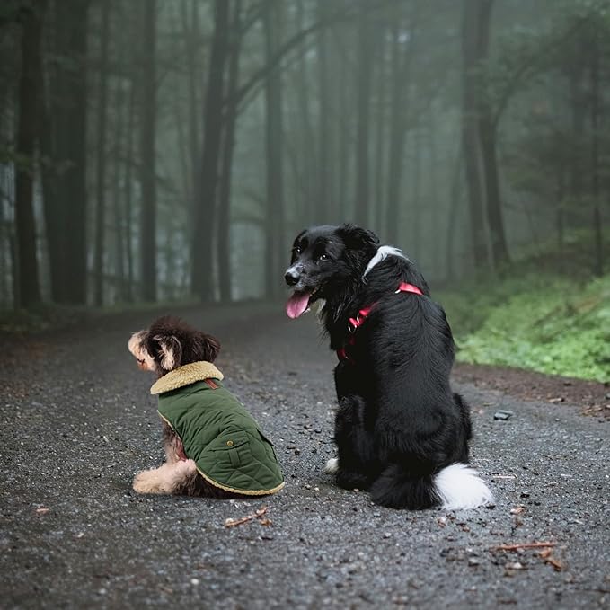 Queenmore Warm Dog Coat, Cold Weather Puffer Dog Jacket with Ultra Thick Plush Lining and Storage Pockets (Brown, Medium)