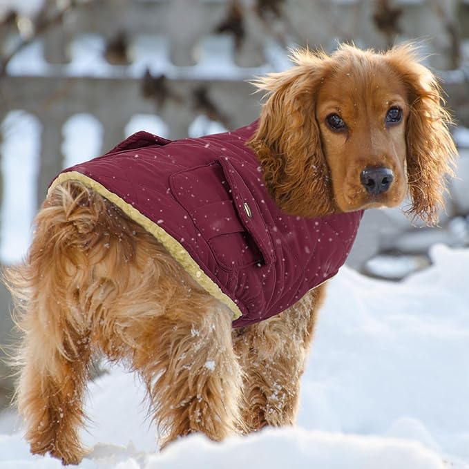 Queenmore Dog Winter Coat Warm Puffer Jacket Waterproof Plush Lining Thermal Cold Weather Vest for Small Medium Large Dogs, Windproof Easy On Pet Jacket Burgundy L