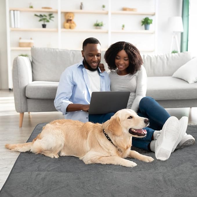 LOOBANI Washable Pee Pad for Dogs, 2 Packs Non-Slip Puppy Training Pads, Fast Absorbent Pet Whelping Pads, Puppy Playpen Mat for Incontinence, Housebreak, Crate, 36x41in, Gray