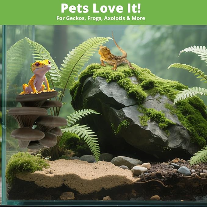 Mushroom Decor for Reptile Tank, Fish Tank, Pet-Safe Bearded Dragon Tank Accessories, Realistic Terrarium Plants for Leopard Geckos, Crested Geckos, Tree Frogs, Snakes (Almond, Cluster Cap)