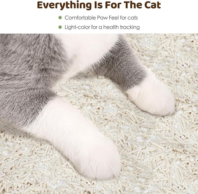Non-Stick Strong Clumping Cat Litter, 4Packs Plant Odor Control Tofu Cat Litter + Cassava Mixed Litter, Low Dust Easy to Scoop, Light Color for Health Tracking, 36Lb