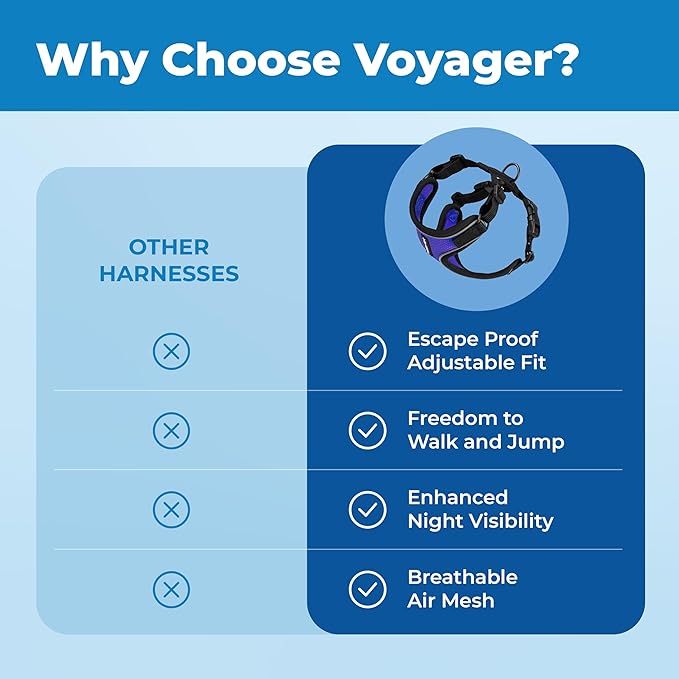 Voyager Escape Proof Cat Harness and Leash Set with Reflective Stitching, Neoprene Handle 5ft - Supports Small, Medium and Large Cats, Kittens for Walking by Best Pet Supplies - BT-Royal Blue, XS